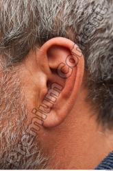 Ear Man White Average Wrinkles